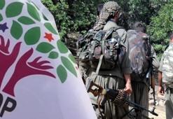 HDP'li vekillerin seçimini Kandil'de yapmışlar! PKK'lı terörist itiraf etti
