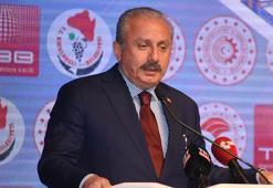 Şentop: Avrupa göçmenlere kapılarını kapattı, öldürmek dahil her türlü eylemi yaptı