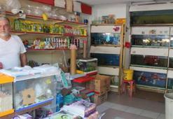 Petshoplar Kasaplar Odası'na bağlandı