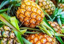 İhracatı 7 milyon dolara ulaştı! Ülkeler sıraya girdi, yüzde 225...