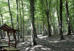 Rize'de ormanlara giriş-çıkış ve ateşli piknik yasaklandı