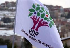 PKK operasyonu; HDP Beşiktaş İlçe Eş Başkanı da gözaltında