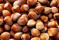 Fındık alım fiyatı ile ilgili son dakika açıklaması! 22 Ağustos'ta başlıyor...
