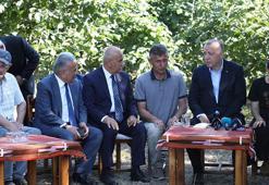 Cumhurbaşkanı Erdoğan'dan fındık bahçesi ziyareti