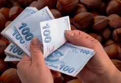 Fındık fiyatları açıklandı! 2022 fındık satış ve alım fiyatı belli oldu