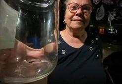 Antalya'da insan yüzlü örümcek görenleri şaşkına çevirdi