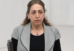 DBP'li Aydeniz'in dokunulmazlık dosyası Meclis'te!