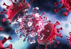 Koronavirüs vaka sayısı açıklandı mı, Sağlık Bakanlığı 2 Ağustos Covid 19 tablosu yayınlandı mı? 25-31 Temmuz 2022 haftalık Türkiye koronavirüs vaka sayısı ne?