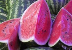 Tarlada 80 kuruş, tezgahta 4-5 lira...