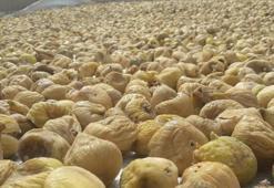 Ekonomiye 232 milyon dolar katkı sağladı! Potasyum, magnezyum ve kalsiyum...