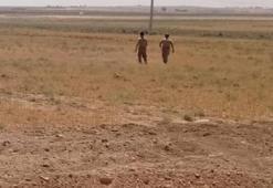 Şanlıurfa’da boş arazide parçalanmış erkek cesedi bulundu
