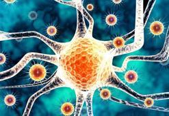 Koronavirüs ve maymun çiçeği virüsünden sonra yeni salgın paniği! Kabusun adresi yine Çin: Korkunun adı Langya henipavirüsü...