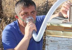 Arıcı yetiştiricilerinden mucize buluş! Astım, bronşit ve KOAH'a çözüm olacak...