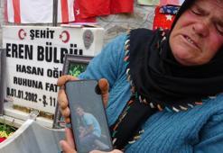 Eren Bülbül'ün yürek burkan son fotoğrafı ortaya çıktı