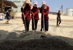 Paraya para demiyorlar! Haftalık 100 milyon lira! Fiyatı bu ilçe belirliyor