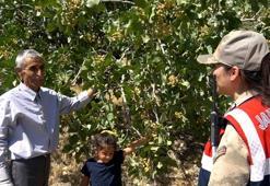 Ülke ekonomine getirisi 5 milyar lira! Jandarma koruyor