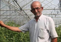 50 yıllık çiftçi ata tohumlarına gözü gibi bakıyor