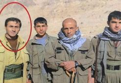PKK/YPG'nin sözde Kamışlı eyalet yöneticisi Muhsin Yağan öldürüldü