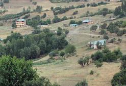 Yaban hayvanının ısırdığı inek kuduz çıktı, köy karantinaya alındı