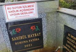 Rize’de "şifalı" diye içilen su zehir çıktı