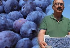Deneme amaçlı başladılar, 10 milyon lira kazandırdı! Yabancı ülkeler sıraya girdi...