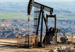 Petrol ile ilgili flaş açıklama: 'Açığa çıkartılmayı bekliyor'