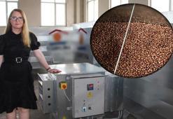 Fındık üreticilerinin yüzünü güldürecek gelişme! Kurutma süresini kısaltıp, harman sorununu bitiriyor
