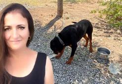 Emlak firmasının köpeği toprağı eşeledi, cinayet ortaya çıktı