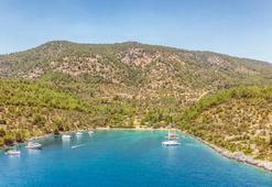 Arsaya talep resmen patladı! Fiyatlar yüzde 83 arttı