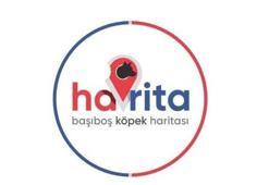 Havrita kapatıldı mı, Havrita ne demek? Havrita.com uygulaması nedir, açık mı? Karar verildi, açıklama geldi!