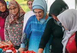 Emine Erdoğan, Ayaş'ta çiftçi kadınlarla tarladan domates topladı, kışlık menemen yaptı