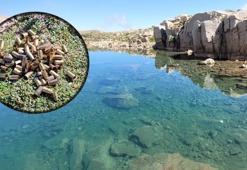 Magandalar turistlerin kabusu oldu! Uludağ poligona ve çöplüğe döndü