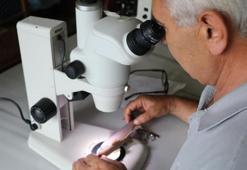 Rizeli akademisyenler keşfetti! İşte 5 yeni balık cinsi