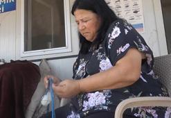 Palamut, sardalya ve istavrit ucuzlayacak deyip duyurdu: 1 Eylül itibarıyla başlıyor