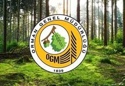 Orman Genel Müdürlüğü personel alımı! OGM personel alımı başvuru şartları nelerdir, son başvuru tarihi ne zaman? Avukat, güvenlik ve temizlik görevlisi, şoför alımı
