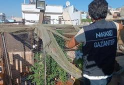 Gaziantep'te dev uyuşturucu operasyonu: 20 gözaltı