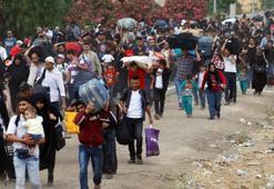 2022 yılında 73 bin 836 düzensiz göçmen sınır dışı edildi