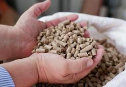 Doğal gaz krizinde çareyi Türkiye'de buldular! Akın akın geliyorlar