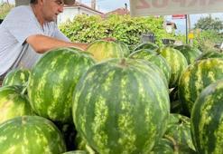 90 günde yetişiyor,  Diyarbakır ve Adana'ya rakip oldu! Kilosu 4 liradan alıcı buluyor..