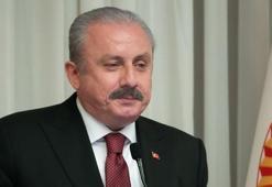 Şentop'tan Yunanistan'a: Bir asır önceki trajedinizi unutmayın