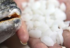 Kilosu 1000 liraya satılıyor, faydalarını duyan oraya koşuyor! Toz haline getirilip limon sıkılarak tüketiliyor