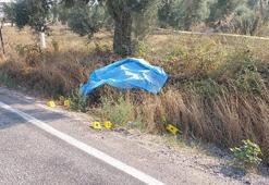 Akşam eve dönmeyen 37 yaşındaki adam yol kenarında ölü bulundu