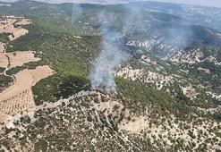 Manisa'da 10 dönüm orman yandı