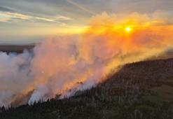 İki ülkede yangın nedeniyle acil durum ilan edildi! 3 gündür devam ediyor