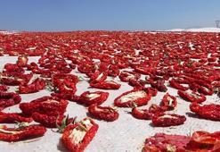 Dünya ülkeleri sıraya girdi, bir ilimize 832 milyon lira kazandırdı! 'Raftaki fiyatı 20 dolar'