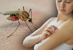 Koronavirüs, maymun çiçeği derken yeni salgın patladı! Batı Nil virüsü komşuyu vurdu, çok sayıda ölü var...