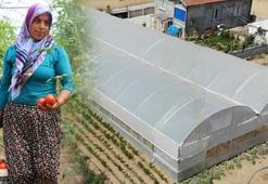 Devletten aldığı hibe ile başladı, şimdi paraya para demiyor! 'Yüksek verim aldık' deyip fiyatını açıkladı
