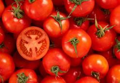 Domates ile ilgili önemli adım! Bakanlık düğmeye bastı