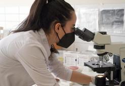 Korona virüsle ilgili çarpıcı araştırma