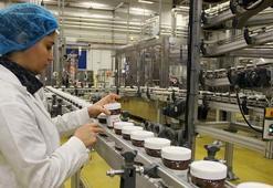 Rekabet Kurumu, fındık fiyatına müdahale eden firma için harekete geçti